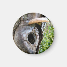 Fairy home with awning fridge magnets