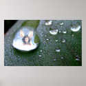 Fairy in a Raindrop posters