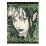 Fairy of the Dark Forest postcard