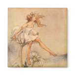 Fairy on a Daisy - Magnet