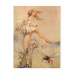 Fairy on a Daisy - Postcard