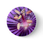 Fairy palace buttons