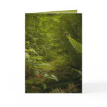 Fairy Pathways Fantasy Photograph Greeting Card