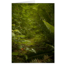 Fairy Pathways Fantasy Photograph Greeting Card