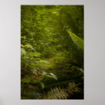 Fairy Pathways Fantasy Photograph Print