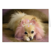 fairy princess dog
