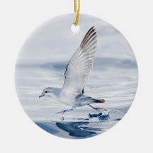 Fairy Prion Pachyptila Turtur Sea Bird Running Christmas Ornament