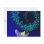 Fairy Ride invitations