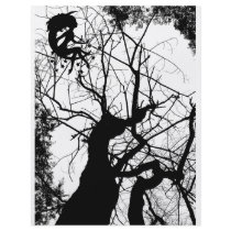FAIRY WEBBY TREE B&W FLYERS