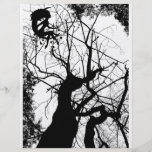 FAIRY WEBBY TREE B&W FLYERS
