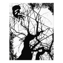FAIRY WEBBY TREE B&W PERSONALIZED INVITE