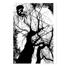 FAIRY WEBBY TREE B&W POST CARDS