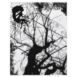 FAIRY WEBBY TREE BUBBLES B&W flyers