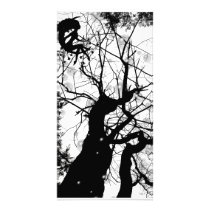 FAIRY WEBBY TREE BUBBLES B&W PERSONALIZED PHOTO CARD