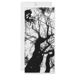 FAIRY WEBBY TREE BUBBLES B&W rack cards
