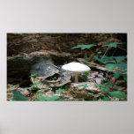 Fairy White Mushroom Posters
