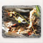 Fairy Wings Bloom Mouse Pad