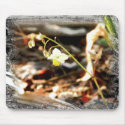 Fairy Wings Bloom mousepads