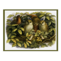 "Fairy with Owls" by Doyle - Postcard