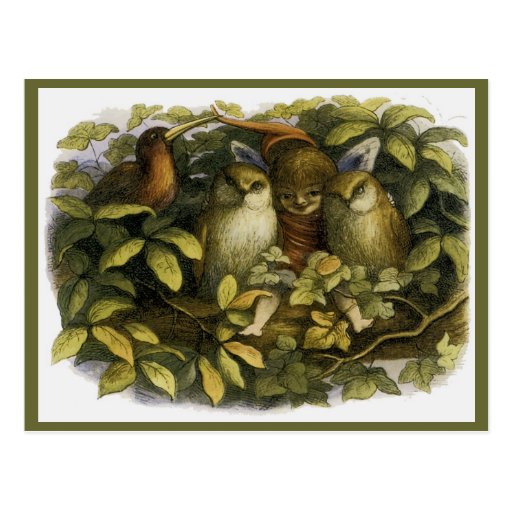 "Fairy with Owls" by Doyle - Postcard