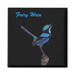 Fairy Wren magnet