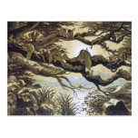 Fairyland: Asleep in the Moonlight Postcards