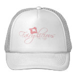 fairylicious copy mesh hats