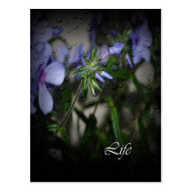 Faith, Hope, Life Post Cards