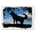 Faithful dog, Montana cards