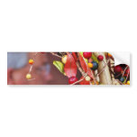 Fake Berries bumper stickers