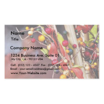 Fake Berries Business Card Templates