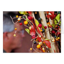 Fake Berries Greeting Cards