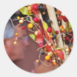 Fake Berries Round Stickers