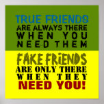FAKE vs TRUE ~ Poster / Print