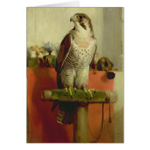 Falcon, 1837 card