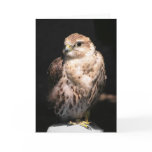 Falcon II: Customisable Card