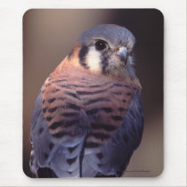 falcon mousepads