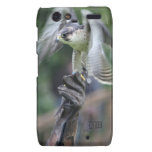 Falconry Droid RAZR Cases