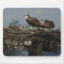 Falcons Mouse Pad