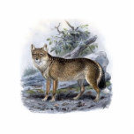 Falkland Island Fox photo sculptures