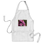 Fall Aster Apron