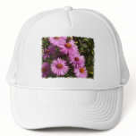 Fall Aster Baseball Hat