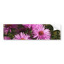Fall Aster Bumper Sticker
