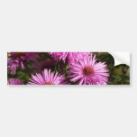 Fall Aster Bumper Sticker