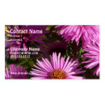 Fall Aster Business Card