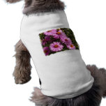 Fall Aster Dog Shirt