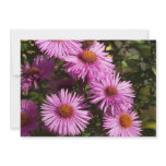 Fall Aster Flower Invitation