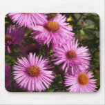 Fall Aster Mouse Pad mousepads