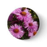 Fall Aster Round Pin 