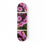 Fall Aster Skateboard